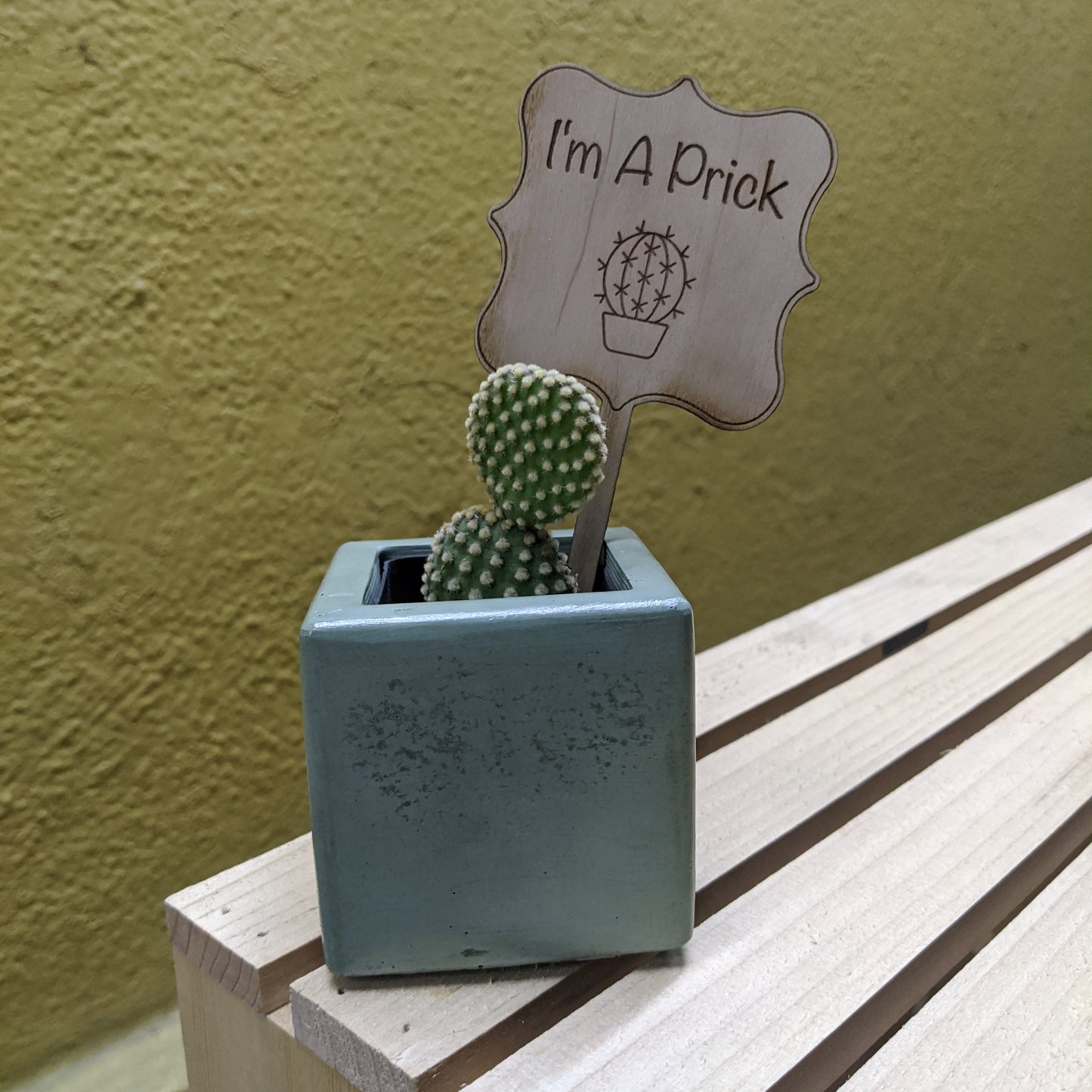 Plant Markers