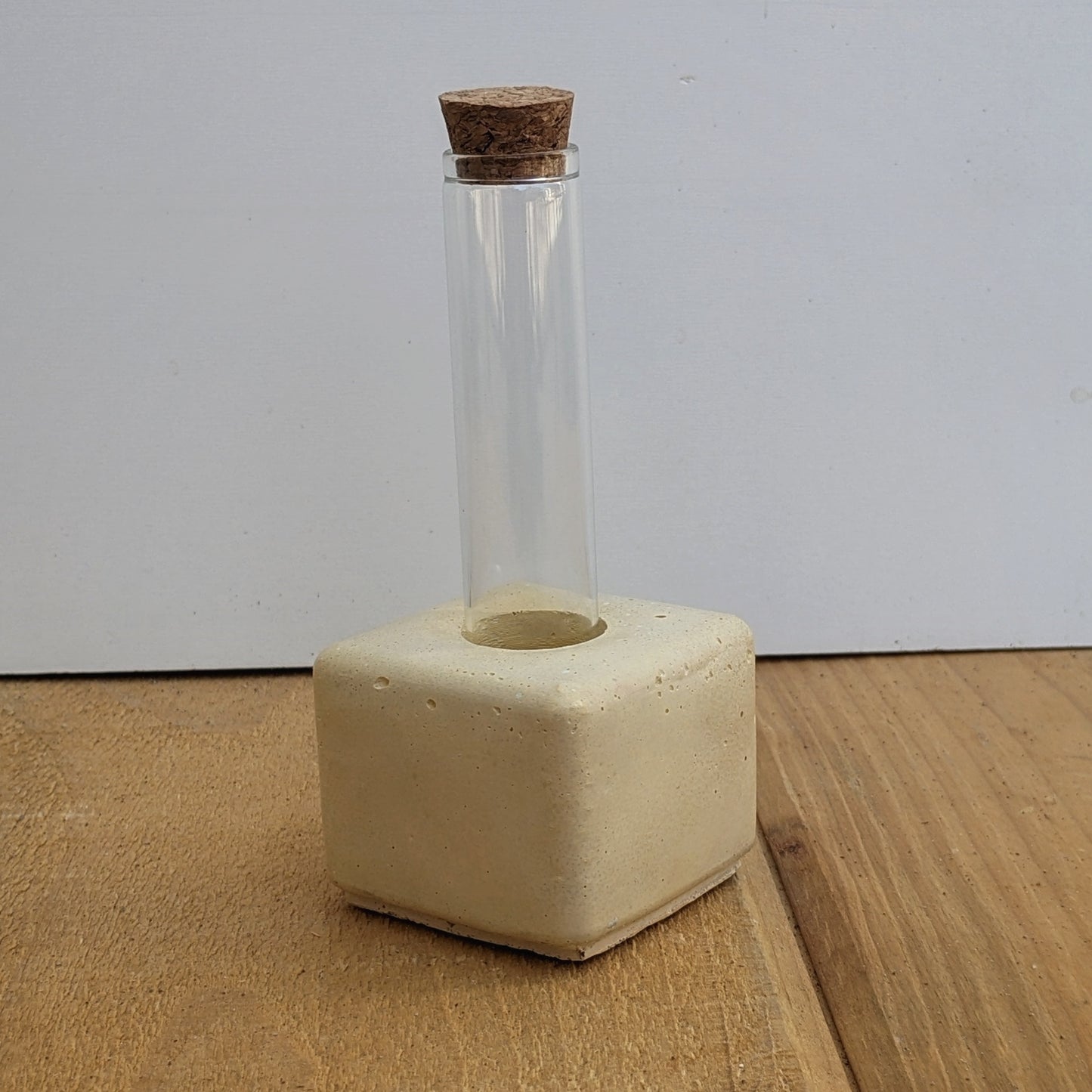 Concrete Bud Vase / Propagation Station